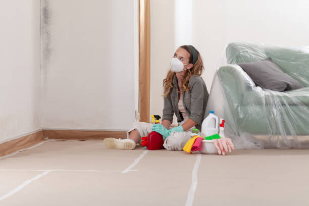 Reliable Mold Cleanup contractor in Woodville, VA by Cheap Mold Removal